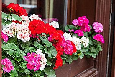 《索尼克赛车 交叉世界》联动P5R JOKER强势参战